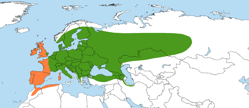 File:Salix cinerea map.png