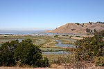 Coyote Hills Regional Park