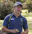 English: Sam Williams, Canberra Raiders halfback, at Bolton Park in Wagga Wagga, New South Wales.