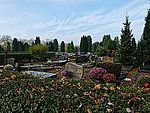 Schoonselhof cemetery