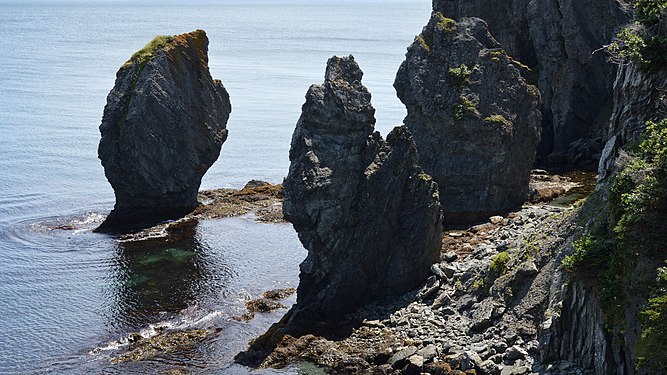 Sea Stacks in Robinhood Bay