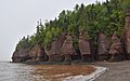 * Nomination Hopewell Rocks, New Brunswick, Canada. --The Cosmonaut 01:57, 1 May 2020 (UTC) * Promotion  Support Good quality.--Agnes Monkelbaan 04:34, 1 May 2020 (UTC)