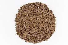 cumin seeds arranged in a circle