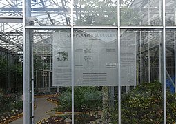 Serre des plantes succulentes du Jardin botanique de Tourcoing.