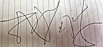 Shing Fui On's signature.jpg