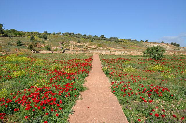 Ruins of Sicyon