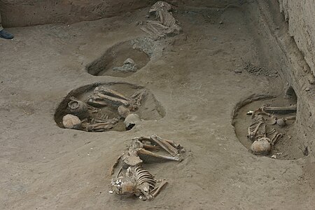Esquelets i ceràmica, Tell Sabi Abyad