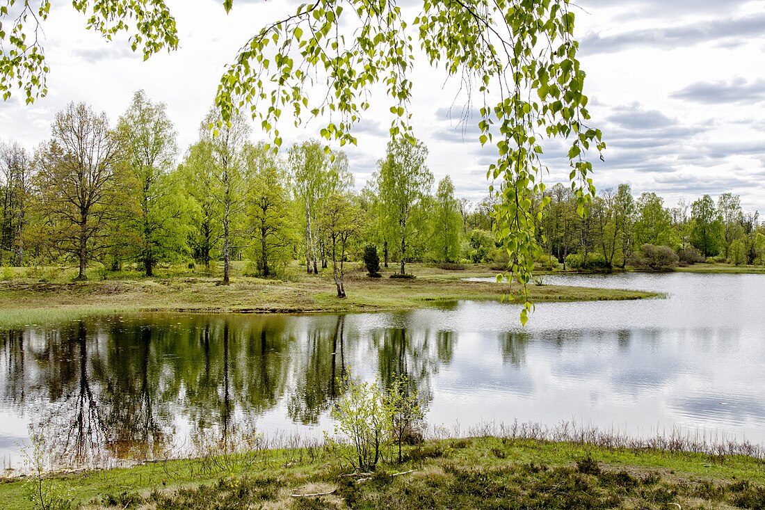 Algustorpasjön, Småland