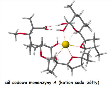 Monensiinin A natriumsuola. Keltainen pallo on natriumioni.