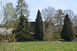 Church ruins St. Matthias