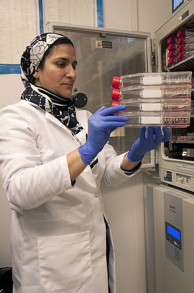 File:Stem Cell Research (0495) (13982408764).jpg