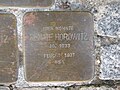 der Stolperstein für Renate Horowitz