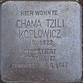 wikimedia_commons=File:Stolpersteine_Alsdorf_Chama_Tzili_Koplowicz_Linnicher_Strasse_26.jpg