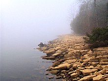 The shore of J. Percy Priest Lake near Bakers Grove, before the morning fog has lifted Stones-river-tn1.jpg