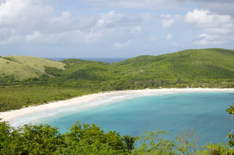 File:Sunaddict-de-culebra-puerto-rico-2015 – 06.jpg