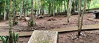 Bahasa Indonesia: Taman Kelinci di Taman Hutan Raya Sultan Adam, Kabupaten Banjar, Kalimantan Selatan. English: The Rabbit Park in Sultan Adam Grand Forest Park, Banjar Regency, South Kalimantan. Banjar: Taman Kalinci di Taman Hutan Raya Sultan Adam, Kabupatin Banjar, Kalimantan Salatan.