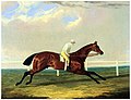 Thumbnail for Tarrare (horse)