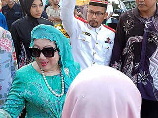 <span class="mw-page-title-main">Raja Perempuan Tengku Anis</span> Queen consort of Kelantan from 1979 to 2010