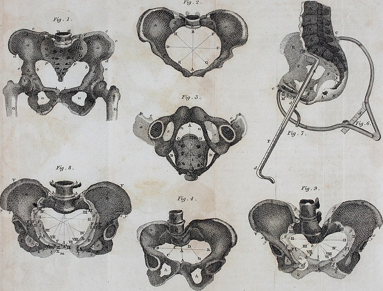 File:The Edinburgh practice of physic, surgery, and midwifery - preceded by an abstract of the theory of medicine, and the nosology of Dr. Cullen and including upwards of six hundred authentic formulae (14597461008).jpg