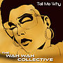 Thumbnail for Tell Me Why (Wah Wah Collective song)