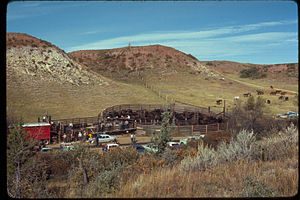 Theodore Roosevelt National Park THRO2273.jpg