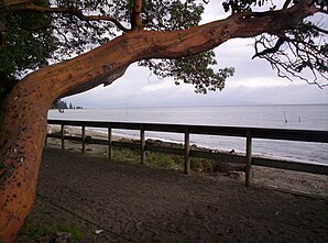 Tigh-Na-Mara Beachfront