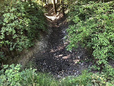 Graben «Ölbach» bei Trockenheit