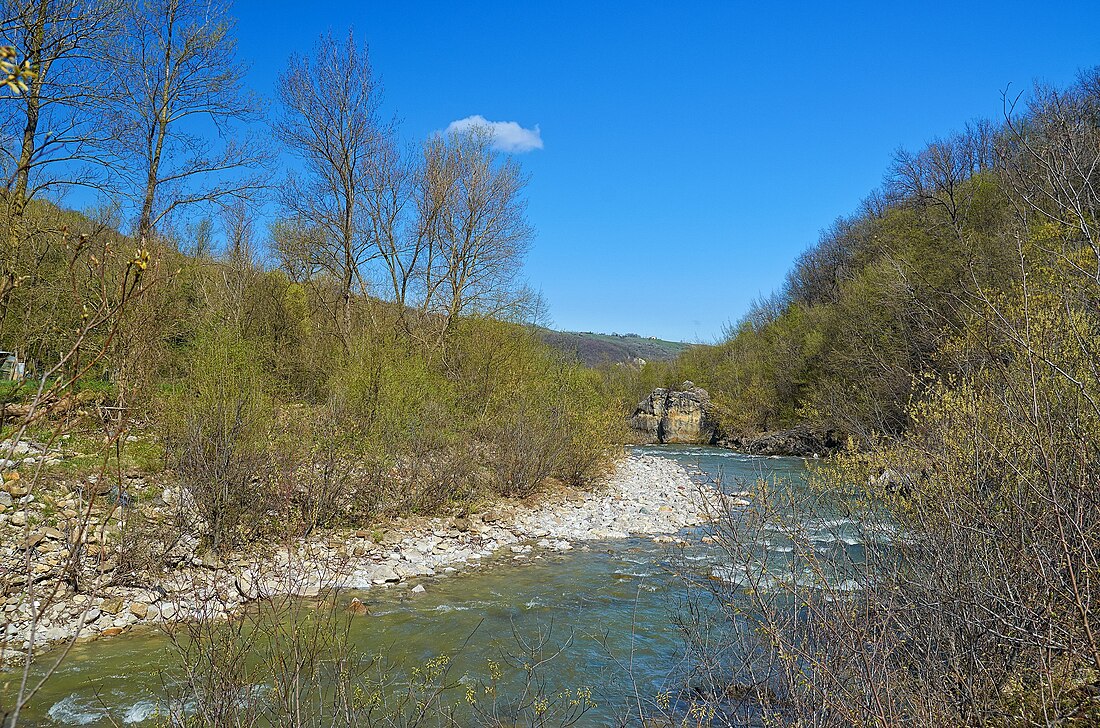 Arda (rivière d'Italie)