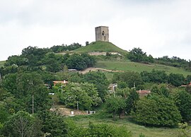 Château d'Albon