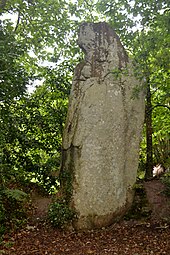 Menhir de Véadès n°1