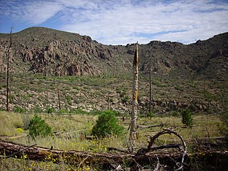 <span class="mw-page-title-main">Polvadera Group</span> A group of geologic formations in New Mexico