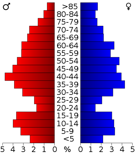 2000 Census Age Pyramid for Florence County