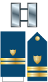 Знаки различия лейтенанта Береговой охраны США.