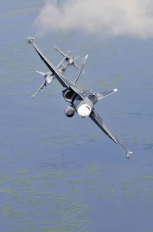 4 Hornets over wetlands