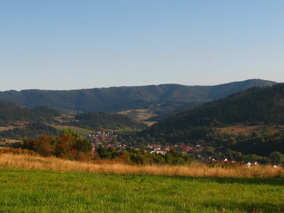 Ujsoły (village)