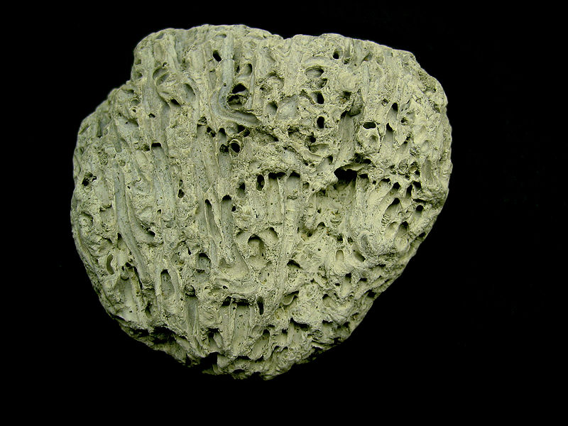 File:Unknown white rock Macro 1.JPG