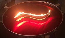 Flexible wick burning in wax VINEWICK CANDLE WAVEWICK.jpg