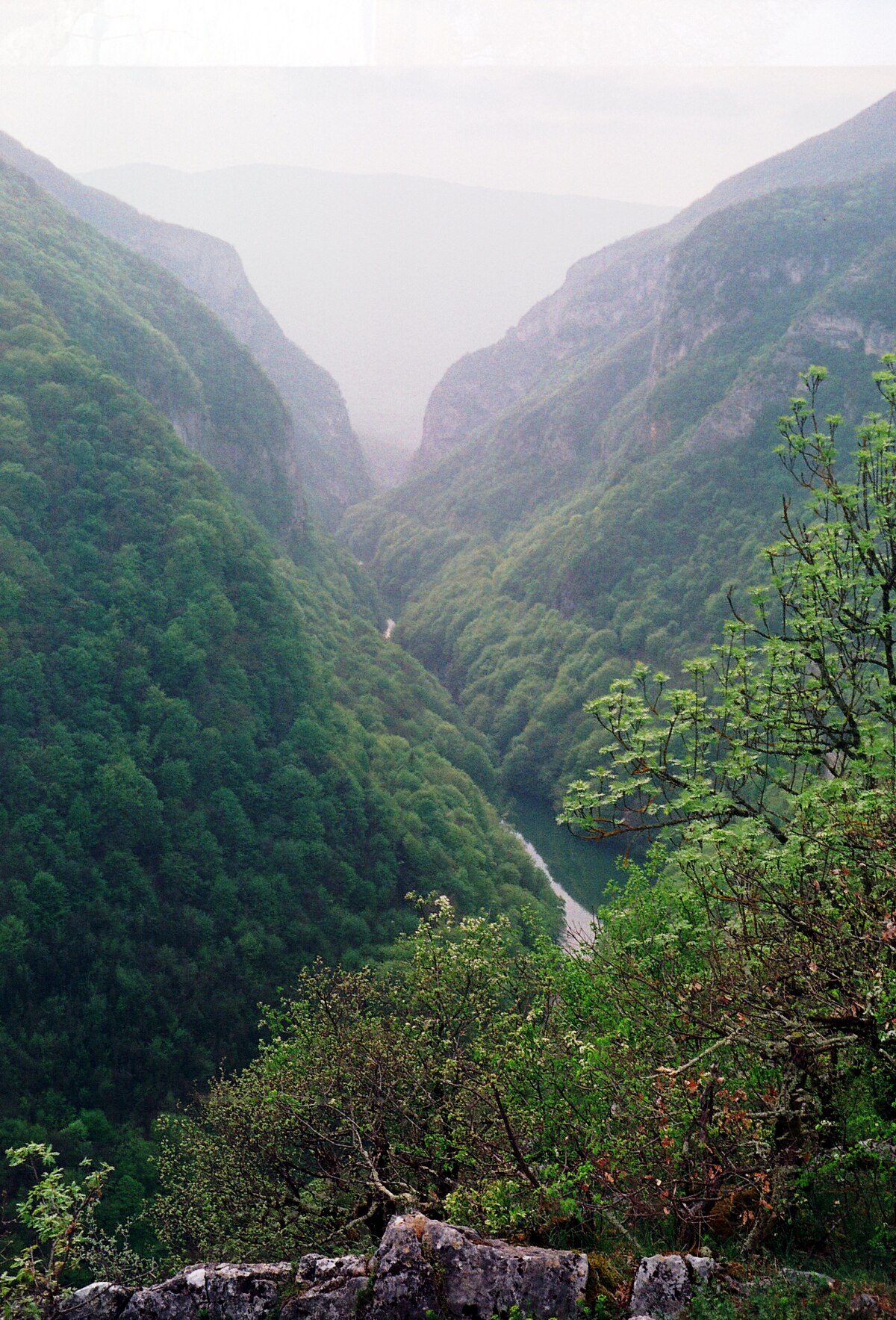 File:Gorges du Fier (Haute Savoie).JPG - Wikimedia Commons