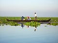 Tourists in a local boat in Vembanad Lake