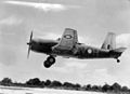 Venageance of 23 Sqn RAAF landing at Kiriwina 1943.jpg