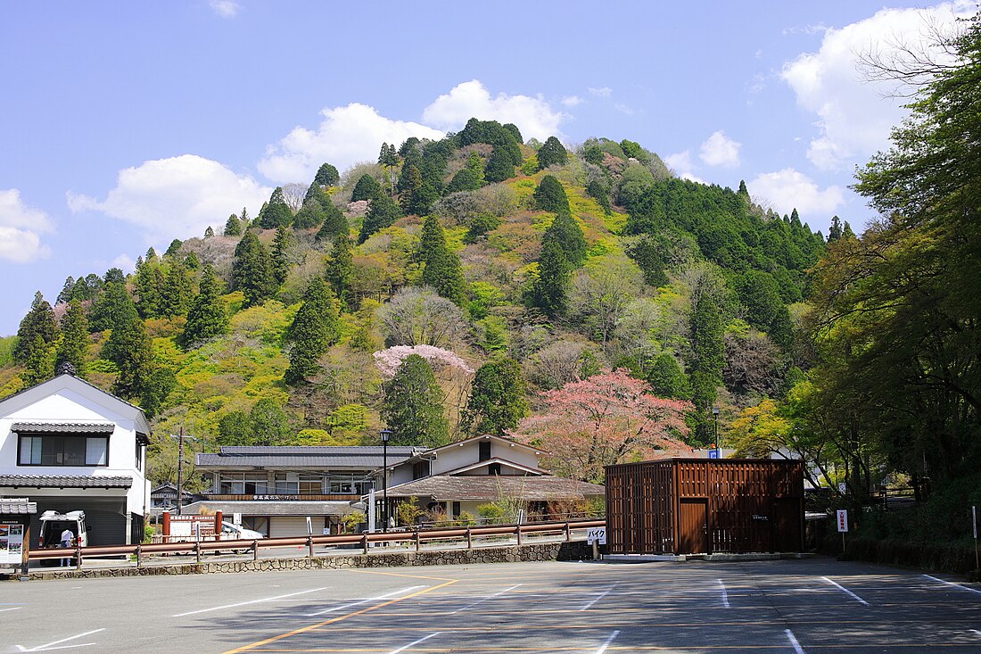 飯盛山 (愛知県)