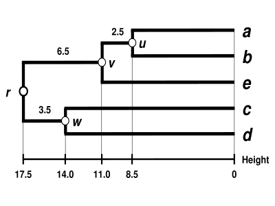 Данные WPGMA Dendrogram 5S