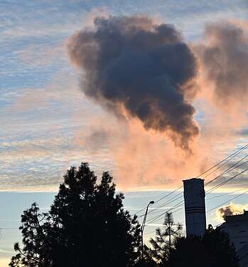 This is a facility that burns waste to generate electricity.