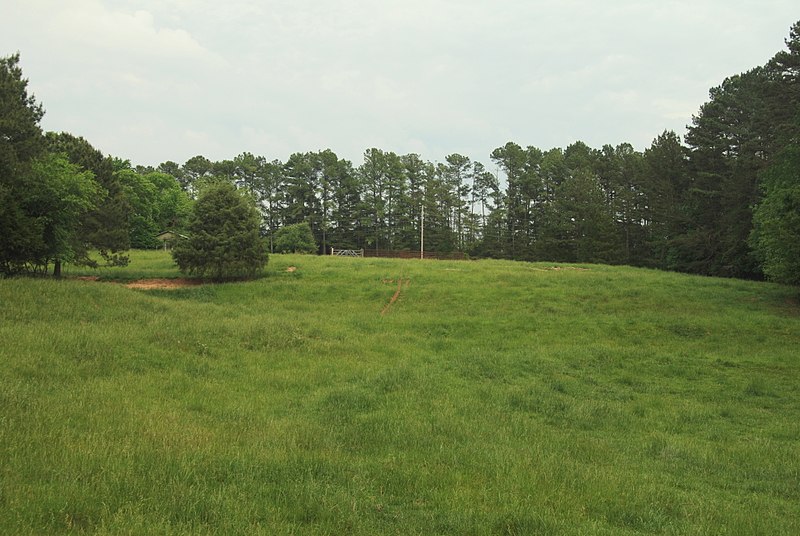 File:We didn't see any heifers out here - panoramio.jpg