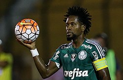 ZÉ ROBERTO – Palmeiras