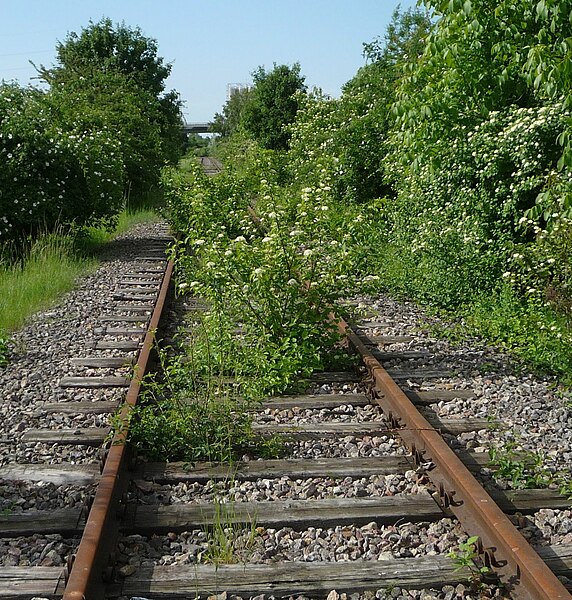 File:"Wer wagt es, sich den donnernden Zügen entgegenzustellen? Die kleinen Blumen zwischen den Eisenbahnschwellen!" (E. Kästner) - panoramio.jpg