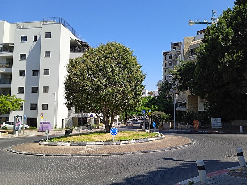 File:(1)Yoel Geizler square.jpg