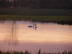 Słopska