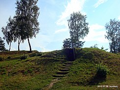 Гомльскі замак