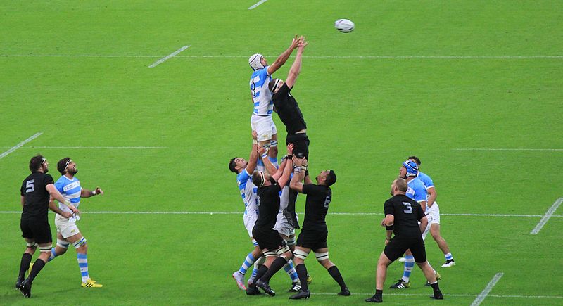 File:15-09 RWC New Zealand vs Argentina 080 (21568640402).jpg